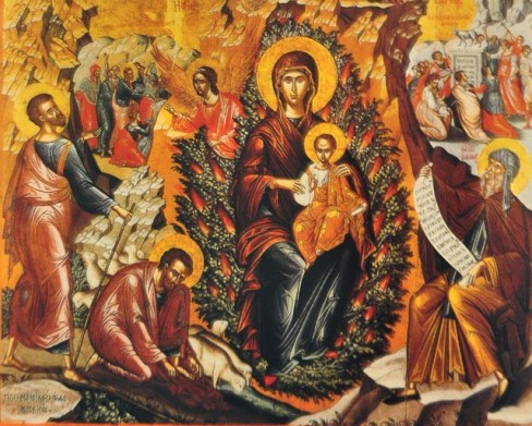 8509410242_fc56897e7f_z